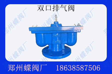 <strong>什么是雙口排氣閥</strong>